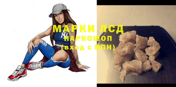 шишки Белокуриха