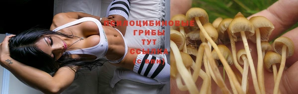 альфа пвп Нея