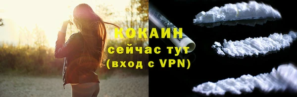 стаф Баксан