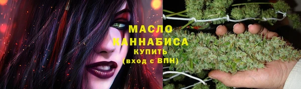 шишки Белокуриха