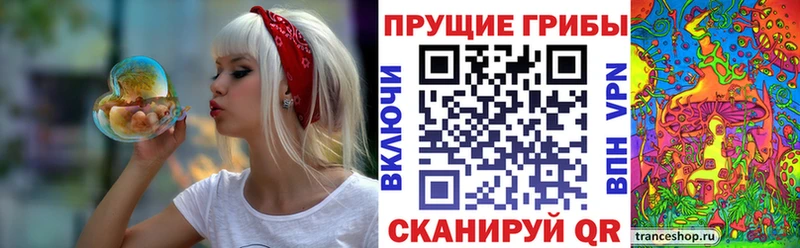 Псилоцибиновые грибы Magic Shrooms  Семикаракорск 